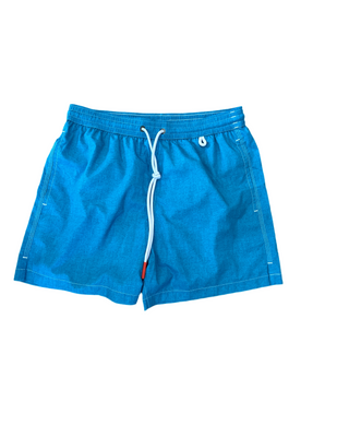 Isaia Mens Solid Aqua Blue Swim Trunk