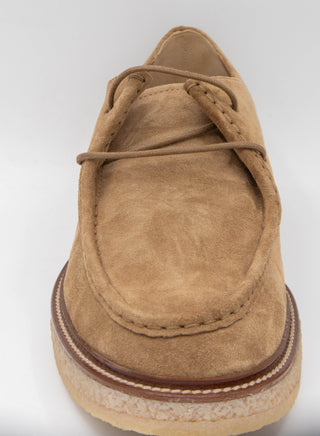 Tods Mens Suede Leather Lace Ups in Brown