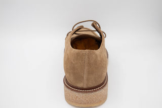 Tods Mens Suede Leather Lace Ups in Brown
