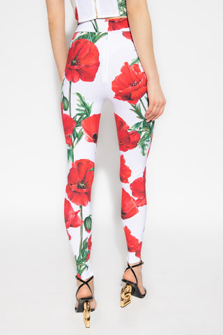 Dolce & Gabbana Womens Pants In Multicolor